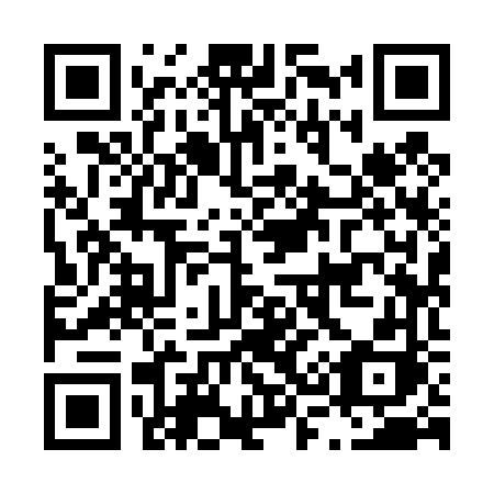 QR code for plate L39-46H