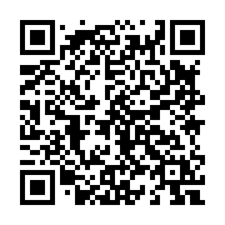 QR code for L3981X