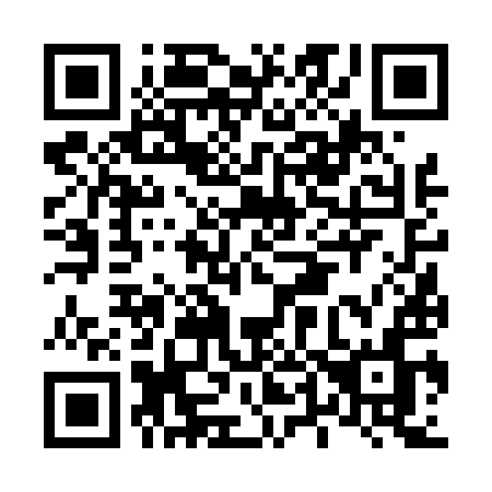QR code for L46-49N