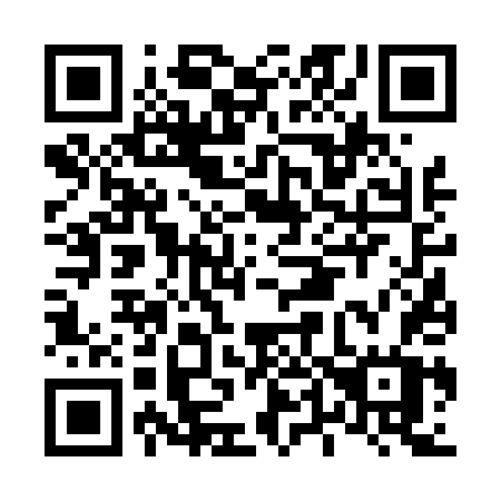 QR code for plate L46-44W
