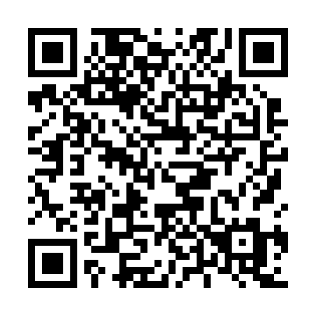 QR code for plate L48-22M