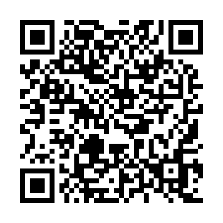 QR code for L49-91N