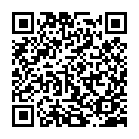 QR code for plate L49-40P