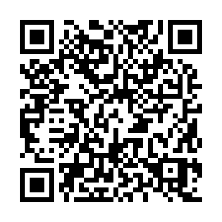 QR code for plate L51-98R