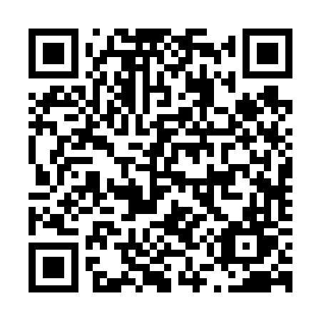 QR code for plate L52-66T