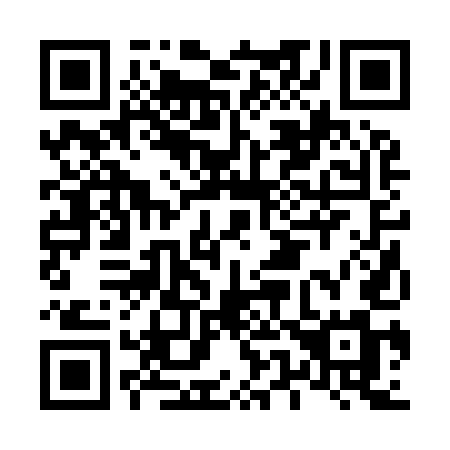 QR code for plate L52-95M