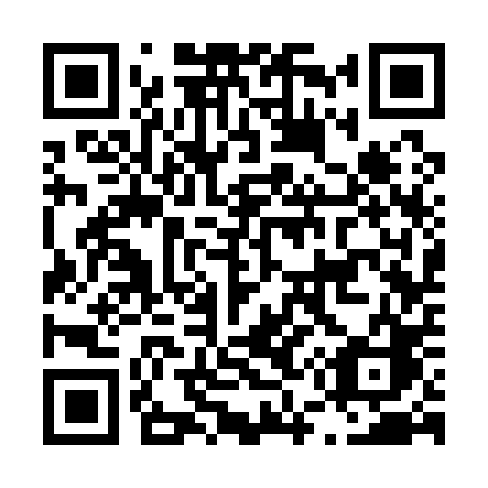 QR code for L53-10C