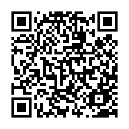 QR code for plate L54-45D