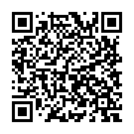 QR code for plate L54-96N