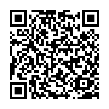 QR code for plate L59-08X