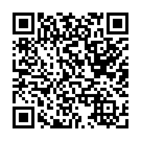 QR code for plate L59-93Q