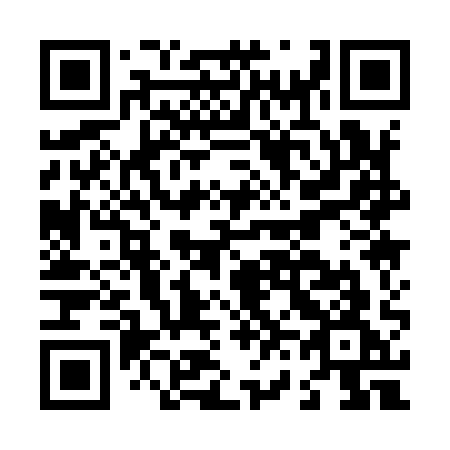 QR code for plate L61-91G