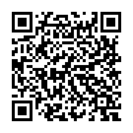 QR code for L63-96V
