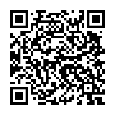 QR code for plate L63-48K