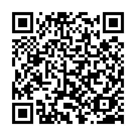 QR code for L65-51H