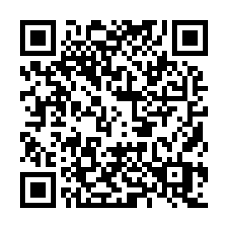 QR code for L81-96T
