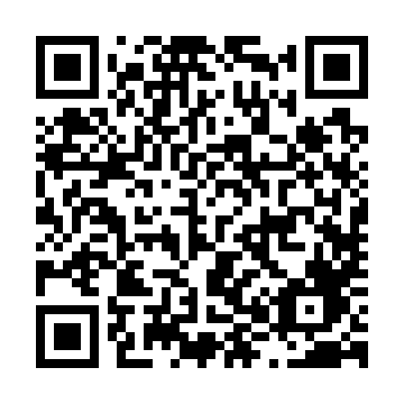 QR code for plate L82-78F