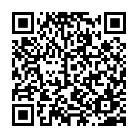 QR code for L85-11V