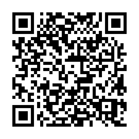 QR code for L85-18P