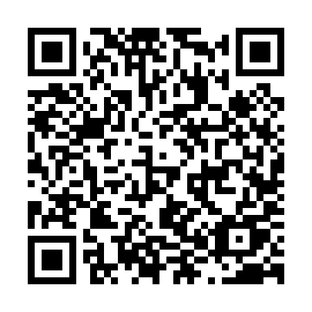 QR code for plate L86-09U