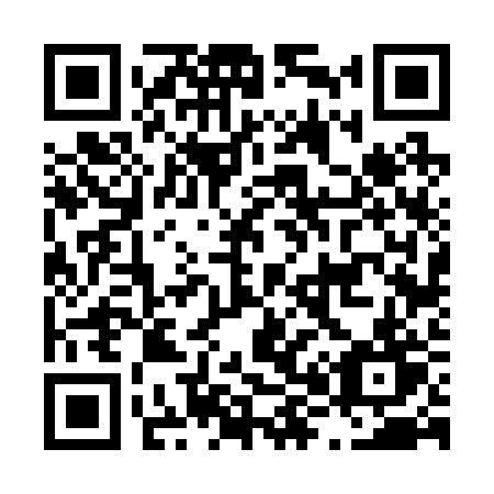 QR code for plate L86-22T