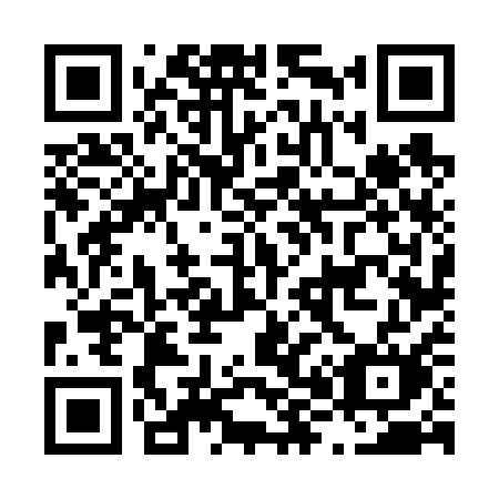 QR code for plate L86-61M