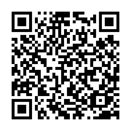 QR code for plate L88-60P