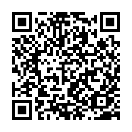QR code for plate L89-38P