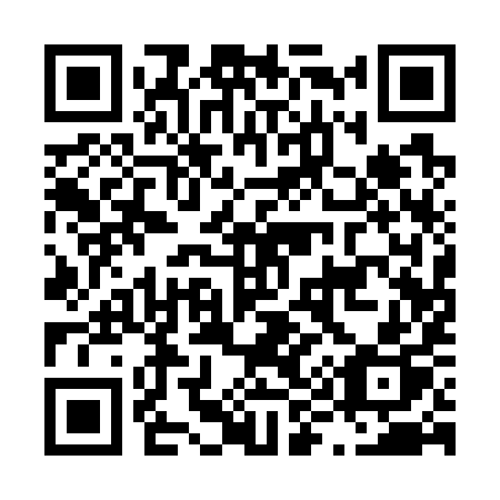 QR code for L91-79P
