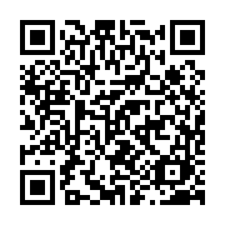 QR code for plate L91-16M