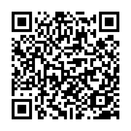 QR code for L9155P