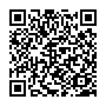 QR code for L9173P