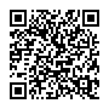 QR code for plate L93-12M