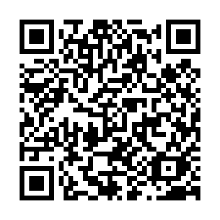 QR code for plate L95-41K