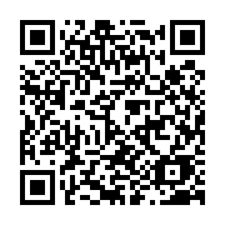 QR code for plate L95-53E