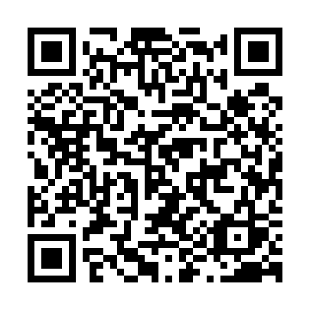 QR code for plate L95-53S