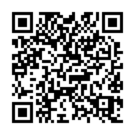 QR code for L96-29Q