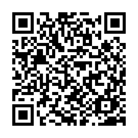 QR code for L9917L