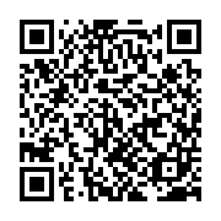 QR code for plate LAI-303