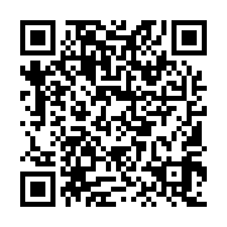 QR code for plate LAM-119