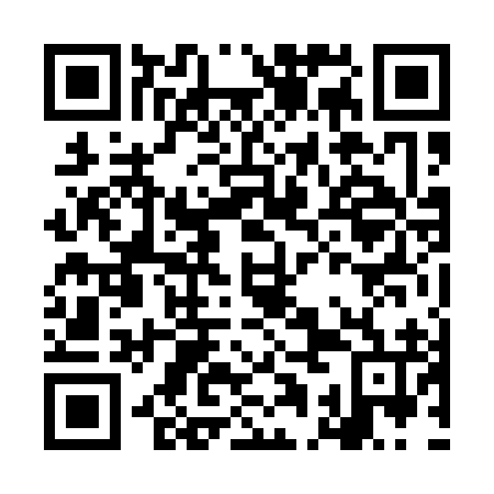 QR code for LAN196