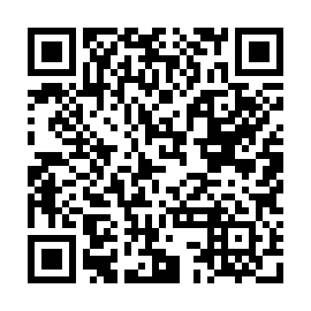 QR code for LCM-381