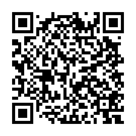 QR code for plate LDB-008