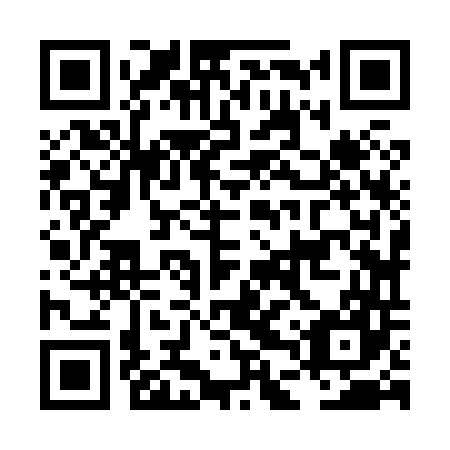QR code for plate LDZ-847