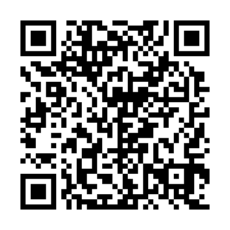 QR code for LFZ-313