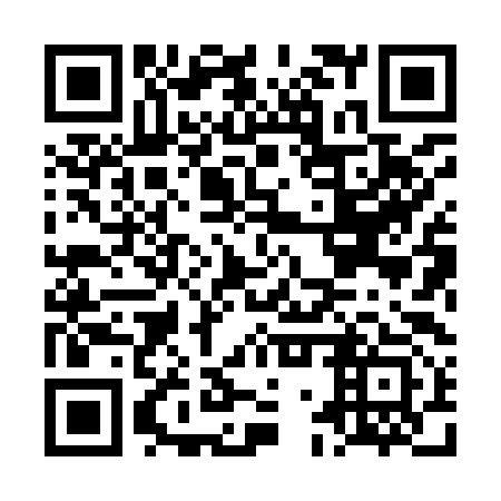QR code for plate LGX-993