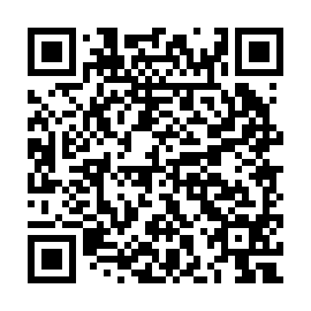 QR code for plate LHP-294