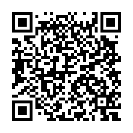 QR code for LIR-015