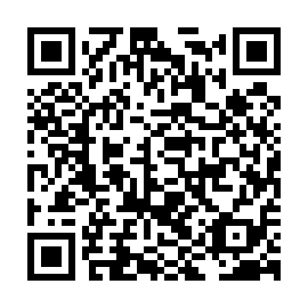 QR code for plate LIU-519