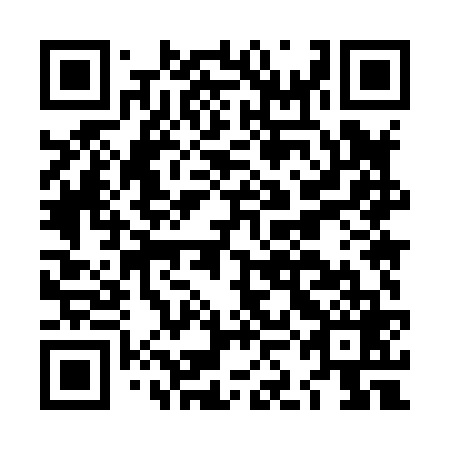 QR code for plate LKM-869
